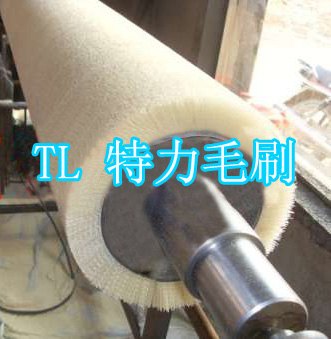 特力輥刷