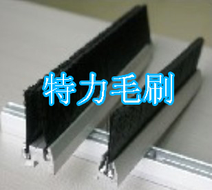 扶梯條刷,毛刷條,條形毛刷,條刷制造廠,安徽特力毛刷廠